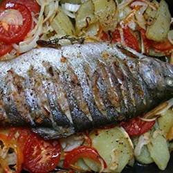 Rácponty Rácponty
